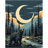Bear in the Night