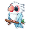 Cockatoo