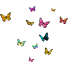 ASHLEY - Beautiful Girl Name with Butterflies