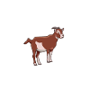 Papa d’un pygmée américain