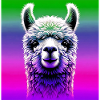 Alpaca