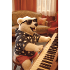 Bear in starry hoodie with sunglasses