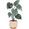 Blumentopf Minimal
