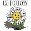 Monday
