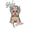 Style Queen Yorkshire Terrier