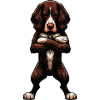 Münsterländer Münsterländer owner Münsterhund
