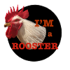 Rooster Design and Humorous Text