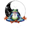 OM Frog Meditation Meditation Yoga