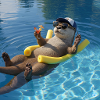 Loutre en vacances
