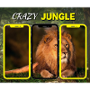 Crazy jungle