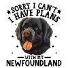 Charming Black Lab Dog Illustration