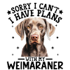 Labrador Retriever Artistic Portrait