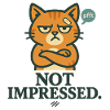 Pas impressionné - Chat