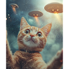 Cat Selfie UFO