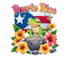 Puerto Rico Culture Frog