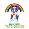 Boston Terrier Einhorn unter Regenbogen