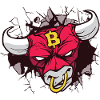 Bitcoin Bull Head Art