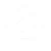 3rd Eye Robotics - outline