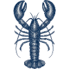 Detailed Blue Lobster Illustration