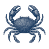 Detailed Blue Crab Illustration