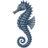 Elegante Marine Seepferdchen Illustration