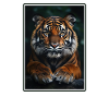Sumatran tiger