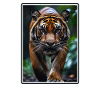 Sumatra-Tiger