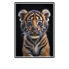 Sumatra-Tiger