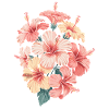 Tropical Hibiscus Blossoms