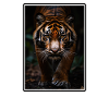 Tigre de Sumatra