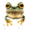 Sammakko Pieni Rupikonna Sammakko Sammakko Prinssi Sammakot