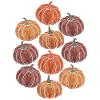 Variété de citrouille automnale