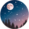 Moonlit Night Sky Tree Silhouette