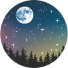 Celestial Night Forest Pattern