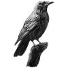 Raven