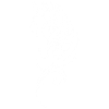 Silhouette de cheval élégante en tourbillon