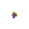 Ernte 2025 Reben und Ziel