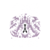 Episches heroisches Design mit Drachen