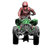 Quad