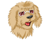 Doodle Dad with Sunglasses