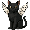 Black Cat Angel Wings Cartoon Celestial