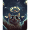 Chat Selfie OVNI