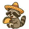 Cute raccoon with sombrero and taco