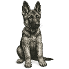 "Kleiner Frechdachs" - Welpe Schäferhund