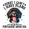 Lively Black and White Curly-Coated Dog