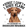 Illustrative Dachshund Portrait Design