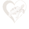 Turtle Heart Design