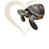 Turtle in heart motif