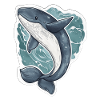 baleine