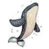 whale